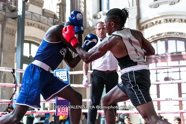 Boxe anglaise à Toulouse Minimes, club TMBC